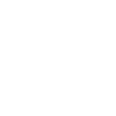 QuickLaunch Rocket Logo